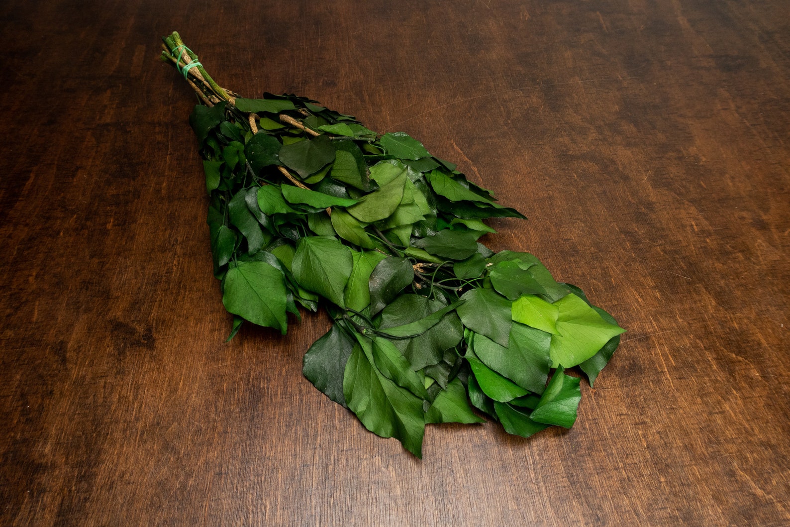 Vibrant Green Real Preserved Greenery DIY Bouquet Preserved Etsy