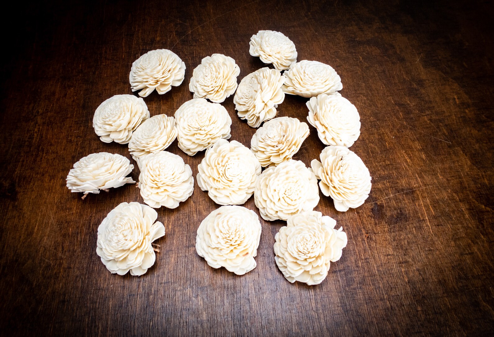 Wholesale Bulk Sola Flowers Wedding Decor White Ivory Diy Etsy