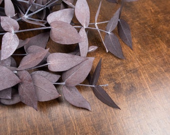 May include: A bunch of dried eucalyptus leaves in a deep purple hue. The leaves are arranged on a brown wooden surface.