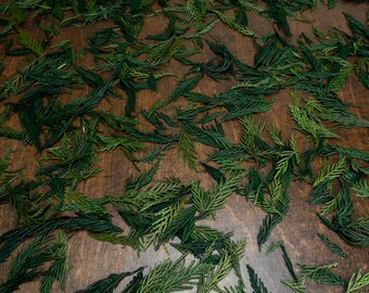 Mix di conifere stabilizzate: fornitura di decorazioni per boschi verde scuro