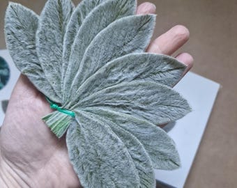 Hojas de oreja de cordero preservadas: vegetación plateada, accesorio floral bohemio para bodas