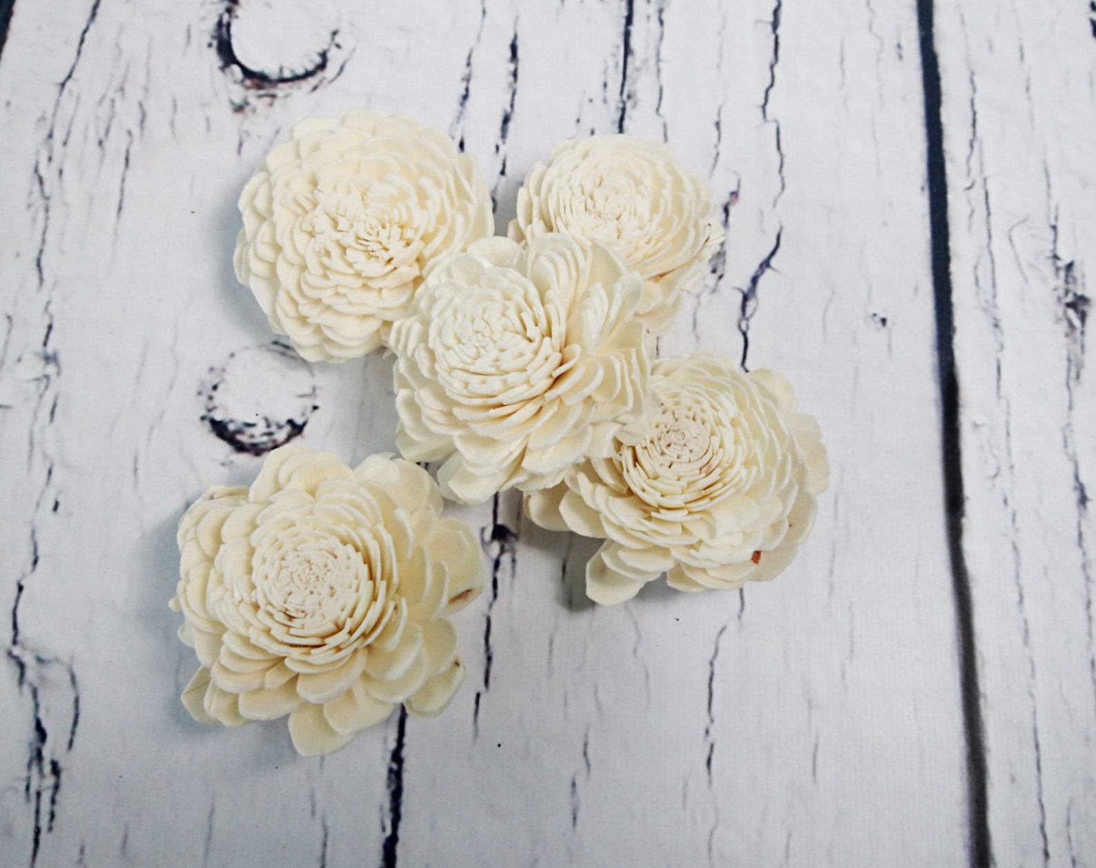 Wholesale Bulk Sola Flowers Wedding Decor White Ivory Diy Etsy