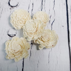Wholesale Sola Wood Flowers, Ivory Belly Shape, DIY Wedding Decor