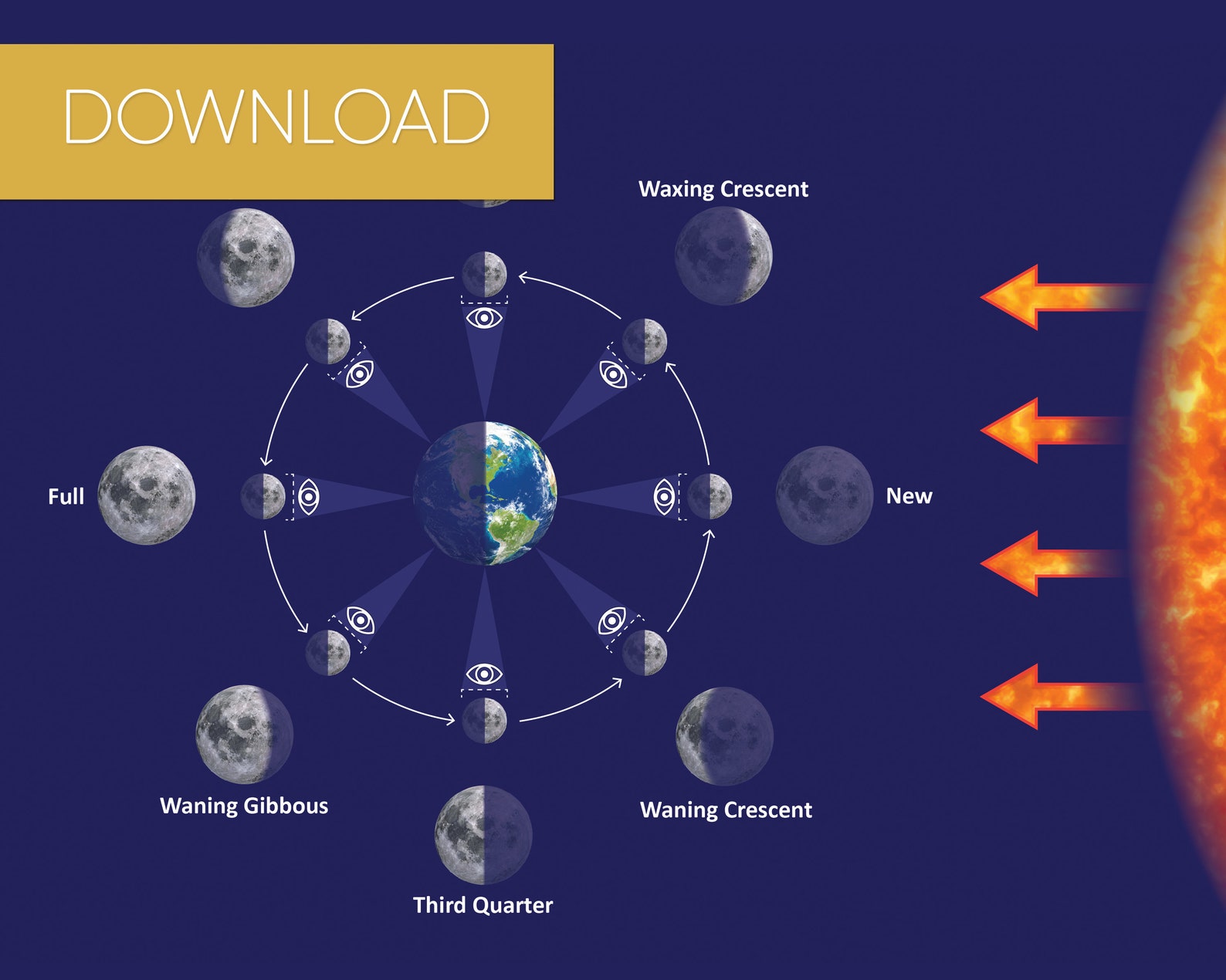Printable Poster Moon Phases A2 Size Educational Poster For Etsy