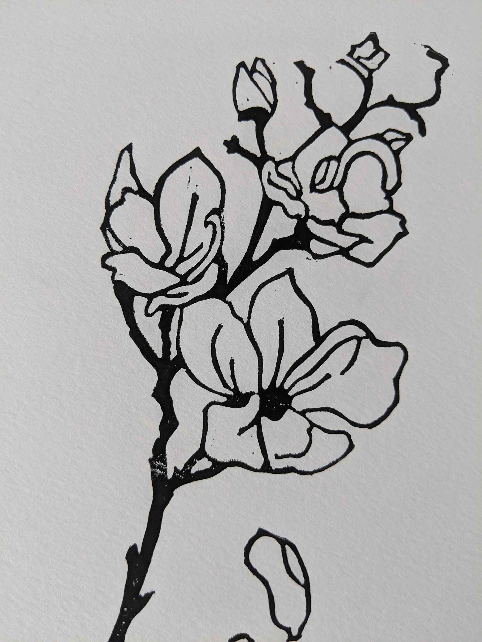 Magnolia Branch Print Magnolia Wall Art Magnolia in Bloom Etsy