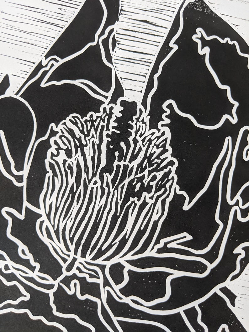 Magnolia Art Print nature print black and white print magnolia in bloom linocut print magnolia wall art botanical print