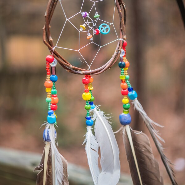 Rainbow Love Authentic Traditional Native American Chippewa Ojibwa DreamCatcher