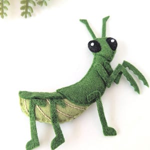 May include: A handmade green felt praying mantis toy with large black eyes and detailed legs. The insect is positioned on a white surface, with a sprig of green foliage in the upper left corner. The toy is a whimsical, handcrafted item.