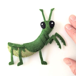 May include: A handmade green felt praying mantis with large black eyes and detailed legs and antennae. The insect has a segmented body and a light green and tan abdomen. The craft is set against a white background.