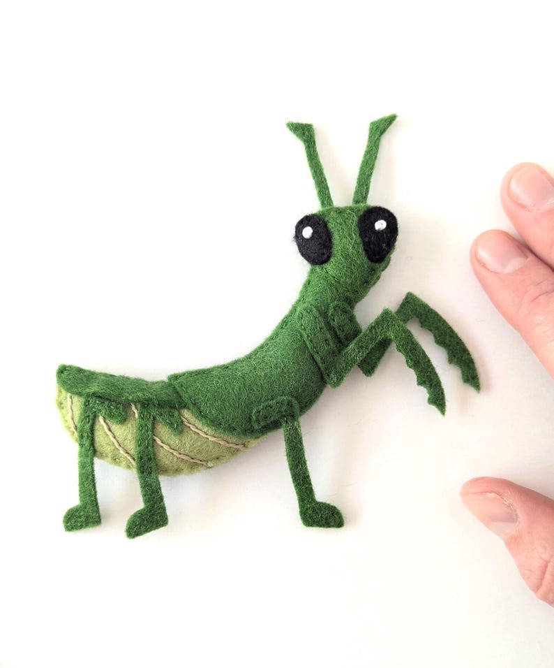 May include: A handmade green felt praying mantis with large black eyes and detailed legs and antennae. The insect has a segmented body and a light green and tan abdomen. The craft is set against a white background.