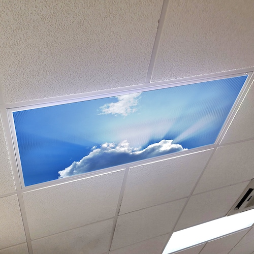 Flexible Fluorescent Light Cover Films Skylight Ceiling Office Medical Dental 30 
