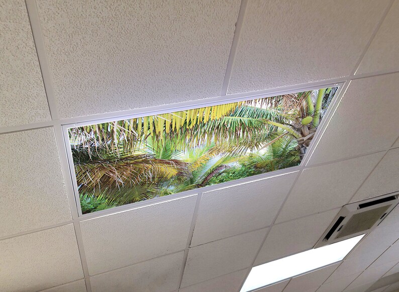 Flexible Fluorescent Light Cover Films Skylight Ceiling Office Etsy