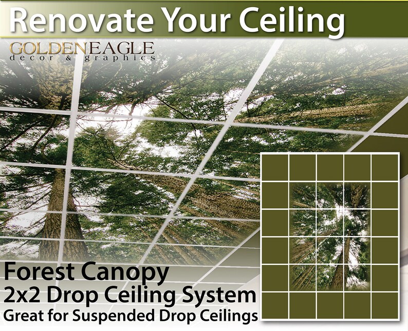 Complete Drop Ceiling Tile Skin Kit 2x2 Grid Glue Up Renovate Diy Forest Canopy