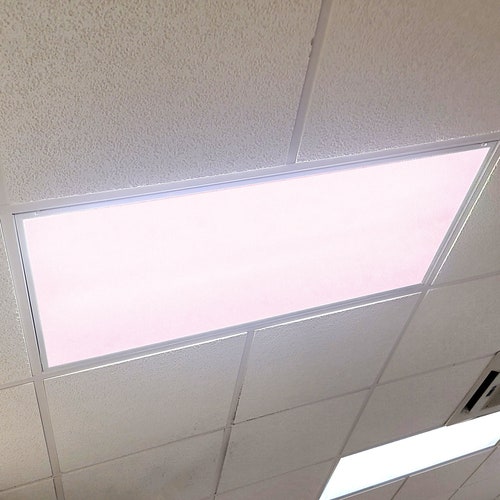 Flexible Fluorescent Light Cover S Skylight Ceiling School Flexible Fluorescent Light Cover S, How To Remove Fluorescent Light Cover With Clips