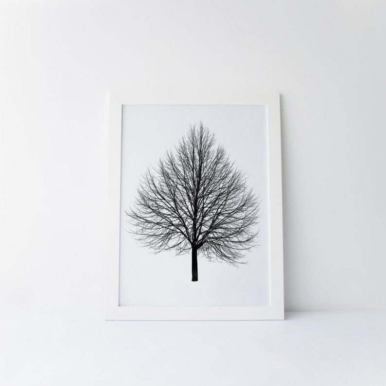 Tree Print, Tree Art, Tree home Decor, Black and White Art, Tree Decor, Tree Wall Art, Gallery Wall Art, Tree Silhouette, Tree Artwork Print image 2