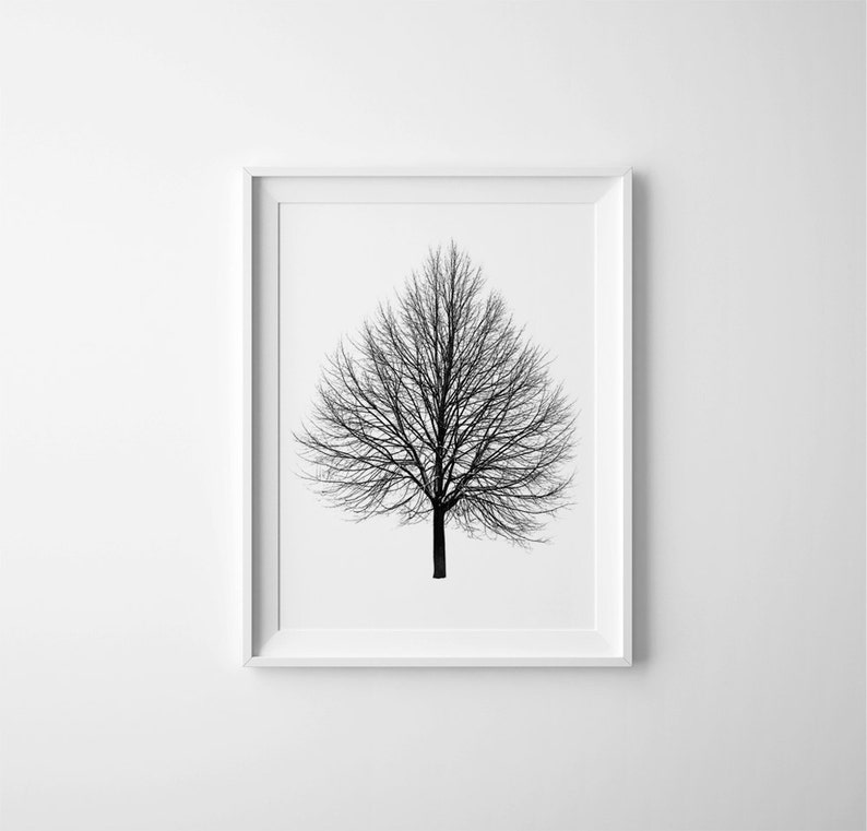 Tree Print, Tree Art, Tree home Decor, Black and White Art, Tree Decor, Tree Wall Art, Gallery Wall Art, Tree Silhouette, Tree Artwork Print image 1