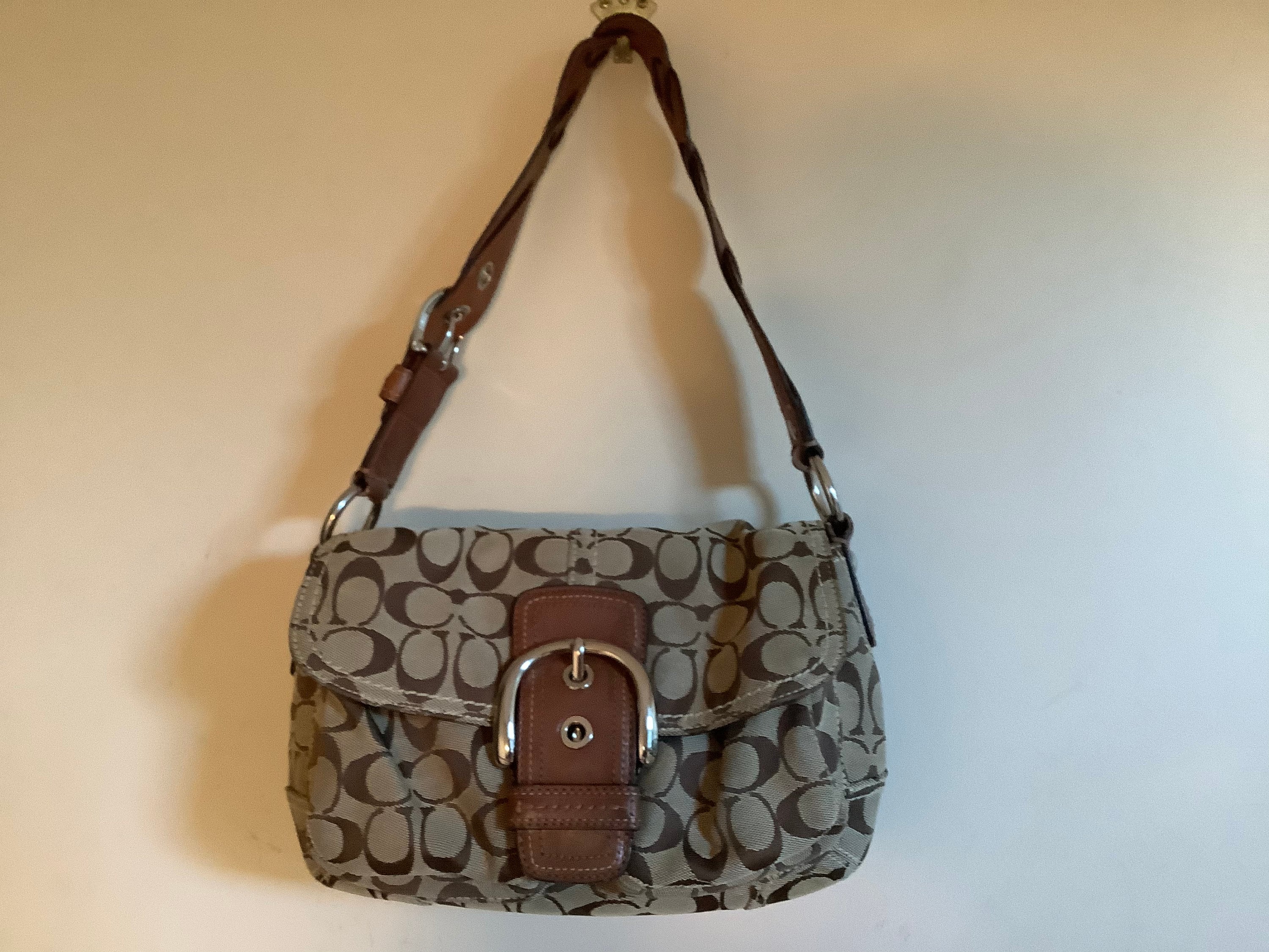 Coach Soho Hobo Flap Minibag  Vintage coach bags, Fancy bags, Girlie  outfits