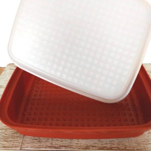May include: A red plastic container with a white lid. The container has a grid pattern on the bottom and the lid has a grid pattern on the top.