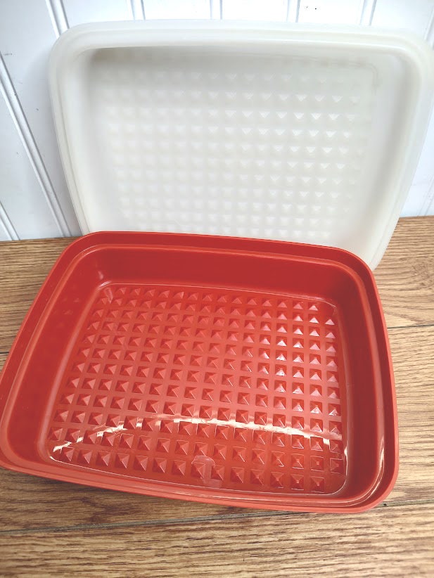 Vintage Small Tupperware Meat Marinade Keeper Container 1518 Red and White