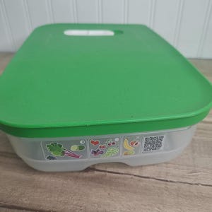 May include: A green plastic food storage container with a matching lid. The lid has a handle and the container has illustrations of fruits and vegetables. The container is on a wooden surface.