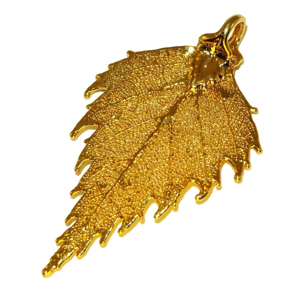 Echtes Blatt der Birke Anhänger in 24K Gold