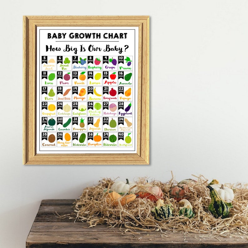 PRINTABLE How Big Is Baby Sign-Printable Baby Growth Chart-Week By Week-Baby Comparison To Fruit-Baby Size Sign-Baby Size Chart-Baby Bump image 2