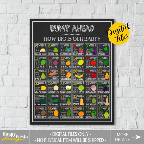 Pregnancy Bump Size Chart