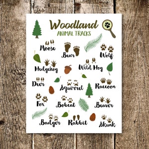 Printable Animal Tracks Poster-woodland Animals Print-outdoor Adventure ...