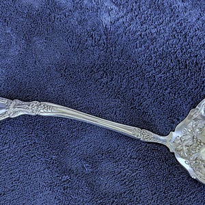 May include: Silver ladle with ornate grape vine detailing. The handle and bowl are decorated with grape clusters and leaves. The ladle is set against a dark blue textured background.