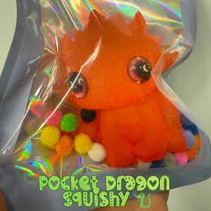 May include: An orange squishy dragon toy with large eyes and colorful pom-poms, packaged in a clear, iridescent bag. The text "Pocket Dragon Squishy" is printed in green at the bottom of the bag.