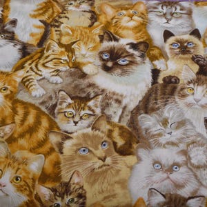 Patchworkstoff Katzen allover braun/grau