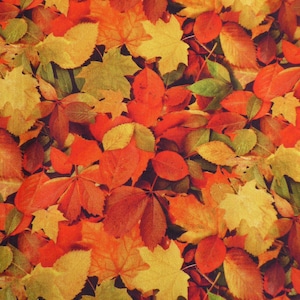 Patchworkstoff Herbstlaub