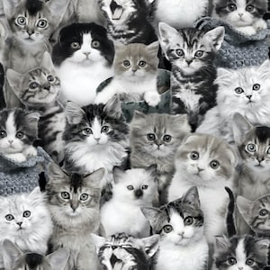 Patchworkstoff Katzen allover schwarz/weiß