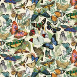 Peut inclure: Un motif coloré de papillons et de mites sur un fond crème. Les papillons sont dans différentes nuances de bleu, vert, orange, rose et marron. Les mites sont principalement brunes et blanches.