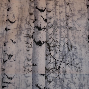 Könnte beinhalten: Stoff mit einem Muster eines Birkenwaldes. Das Design zeigt weiße Baumstämme mit schwarzen Markierungen und dünnen, dunklen Ästen. Der Hintergrund hat ein weiches, gedämpftes Grau-Weiß-Farbschema, das eine ruhige, natürliche Ästhetik erzeugt.