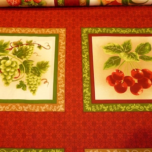 Könnte beinhalten: Roter Stoff mit kleinem floralem Muster. Der Stoff hat quadratische Paneele mit Fruchtdarstellungen. Ein Paneel zeigt grüne Trauben, ein anderes rote Kirschen, beide mit grünen und braunen Rändern umrahmt.