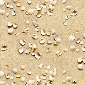 Patchwork fabric sand with shells