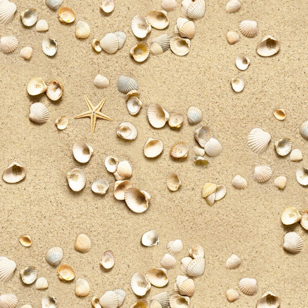 Patchworkstoff Sand mit Muscheln