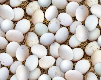 Jajka z tkaniny patchworkowej w słomie