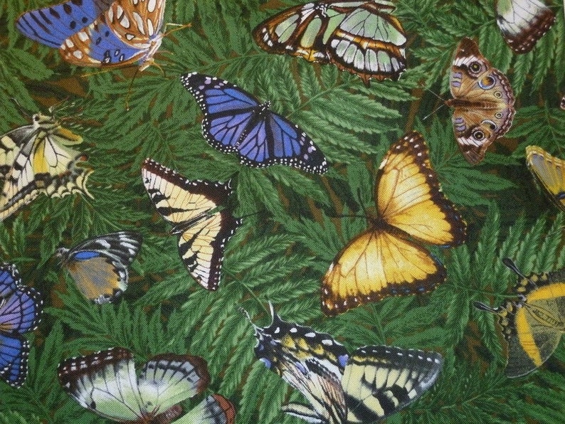 Patchworkstoff bunte Schmetterlinge auf grün Bild 2