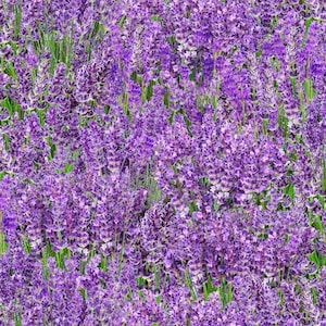 patchwork fabric lavender
