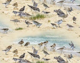 Patchwork fabric beach with sandpipers