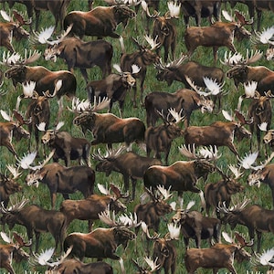 Può includere: Un motivo ripetuto con numerosi alci marroni con grandi corna bianche. Gli alci sono ambientati su uno sfondo di erba verde, creando un design naturale a tema fauna selvatica. L'immagine è piena di animali.