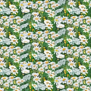 Può includere: Un motivo senza cuciture con margherite bianche con centri gialli su uno sfondo verde. Le margherite sono disposte in modo casuale, creando un design allegro ed estivo.