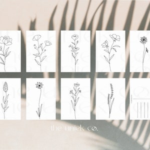 Botanical Postcards - minimalistic postcard set with line drawings of plants, flowers and weeds