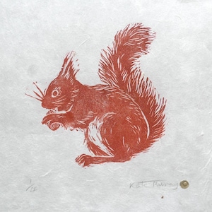 May include: Red squirrel linocut print on textured white paper. The squirrel is depicted in profile, holding a nut. The print is signed "Kate Murray" and numbered 1/25. A small gold-colored circle is in the lower right corner.