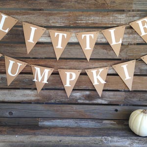 Little Pumpkin Banner - A Little Pumpkin Banner Party Decorations Fall Baby Shower Decorations First Birthday Decorations Baby Sprinkle