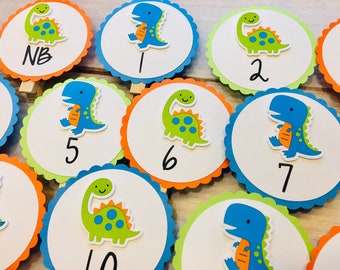 Dinosaur Party First Year Banner - Dinosaur Banner Birthday Decorations Dinosaur First Birthday Party Decorations