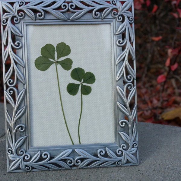 Real Genuine Four Leaf Clover-good luck mini art framed with poem gift card-wedding good luck gift - real four leaf clover - good luck gifts