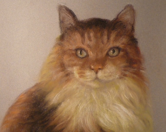 CUSTOM CAT PORTRAIT